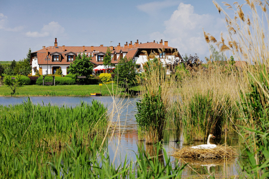 Hotel Dwór Bogucin 02