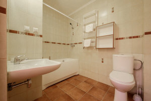 Hotel Dwór Bogucin 04